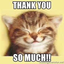 Thank you meme, bing images. Thank You So Much Very Happy Cat Meme Generator