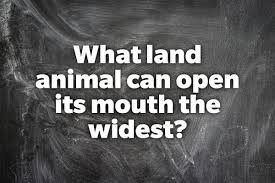 Toss in this round of fiendishly hard animal trivia questions to see how they fare! 50 Trivia Questions For Kids Only The Smartest Can Get Right Reader S Digest