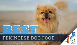 15 Best Dog Foods For Pekingese Our 2019 In Depth Feeding Guide