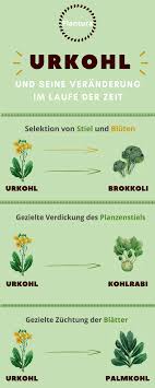 Alle Formen Des Kohls Die Wir Heute So Schatzen Haben Ihren Ursprung Im Wildkohl Der Auch Urkohl Genannt Wird Diesen Findet M Kohl Palmkohl Obst Und Gemuse