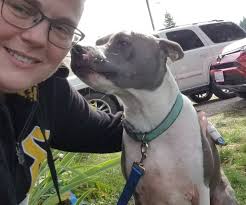 Thank you to the ladies who rescued a lost dog