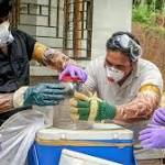 feared dead after Nipah virus