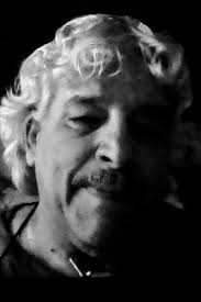 O livro das epígrafes (ebook)