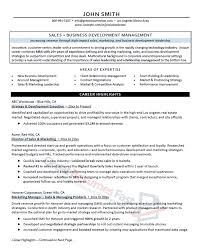 72 With Samples Of Executive Resumes Resume Format
