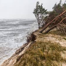Wiatr w europie przekraczać może 150 km/h. Wiatr W Polsce Wichura W Polsce Gdzie Wieje Najsilniej Tvn Meteo