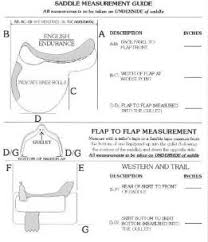 Skito Equalizer Saddle Pads How To Measure Your Saddle For A