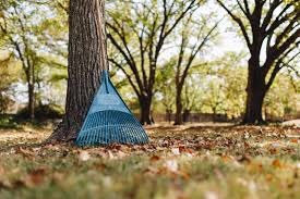 As the leaf matter decomposes, valuable nutrients will be released into the soil and made available to your plants. Skip The Rake And Leave The Leaves For A Healthier Greener Yard