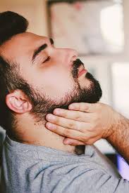 Men's Cosmetics: Sterling Beard Oils, WAHL's line for taking care of your  beard