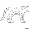 See more ideas about tropical rainforest, rainforest, rainforest animals. 1