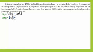 To do the next cross and. Analisis De Dihibrido Aabb X Aabb Y Probabilidades De Los Gametos Genotipos Y Fenotipos Youtube