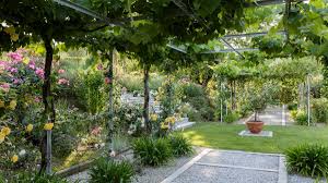 Concrete, stamping, staining, floors, patios, driveways How To Create A Mediterranean Garden Ideas Design Inspiration And Planting Tips Country