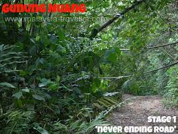 Tingginya 1493 meter, pada kedudukan 3.3 ' utara , 101.9'timur. Climbing Gunung Nuang Hulu Langat Selangor Malaysia