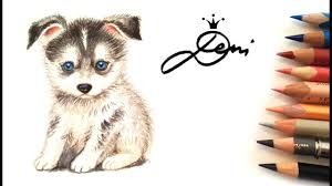 Was tun, wenn es doch mal zum hundebiss kommt. Pomsky Welpe Zeichnen Hund Malen How To Draw A Pomsky Puppy Kak Se Risuva Kuche Pomski Youtube
