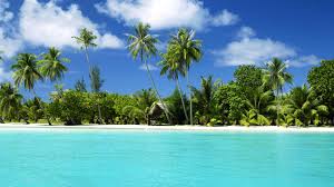 Tons of awesome free tropical desktop backgrounds to download for free. Tropical Background Wallpaper 1920x1080 4011