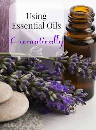 Using Essential Oils Aromatically Essential Oils Essential Oils Aromatherapy Oils