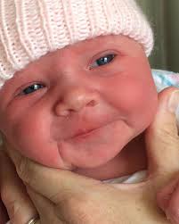 KC Personal Training