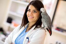 Amphibian behavior for the exotic pet practitioner. How Much Do Vets Make