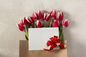 Invia questo bouquet di tulipani multicolore a chi desideri e riempi la sua casa di energia positiva. 560 Tulipani Di Natale Foto Foto Stock Gratis E Royalty Free Da Dreamstime
