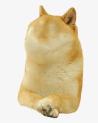 You can download free dog png images with transparent backgrounds from the largest collection on pngtree. Doge Meme White Background Hd Png Download Transparent Png Image Pngitem