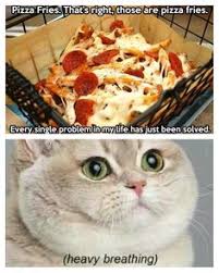 Learn about the veterinary topic of resting respiratory rates. 40 Heavy Breathing Cat Ideas Heavy Breathing Cat Heavy Breathing Funny Memes