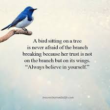 Bird Sitting On Branch Quote Lessons Learned In Lifebelieving In Yourself Lessons Learned In Life Believe In Yourself Quotes Lessons Learned In Life Believe In You