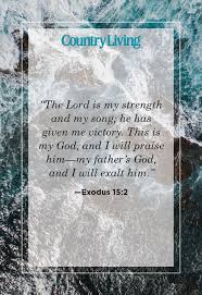 20 Encouraging Bible Verses About Strength Find Healing And Hope May these scripture quotes help you to muster the courage to live honestly despite john 1:14 esv and the word became flesh and dwelt among us, and we have seen his glory, glory as of the only son from the father, full of grace and truth.