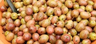 Olive Sott Olio Ricette Di Sardegna Ricetta Ricette Olive Conserva Zucca