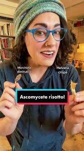 Delicious Morel Mushroom Risotto Recipe