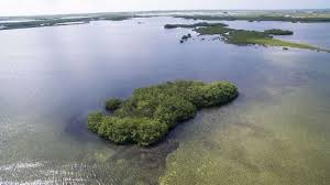 Four acre mannion island is approximately 60 percent fertile, which means it's 40 percent a total barren mystery. Cheap Private Islands Cheapism Com