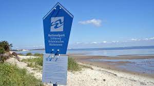 Nationalpark und weltnaturerbe horizont trifft meeresgrund. Das Wattenmeer Der Grosste Nationalpark Ndr De Ratgeber Reise Nordseekueste Sh