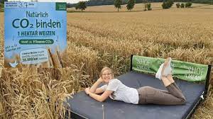 When you visit any website, it may store or retrieve information on your browser, mostly in the form of cookies. Das Bett Im Kornfeld Und Die Bank Bei Esel Und Huhn Landvolk Niedersachsen Landesbauernverband E V
