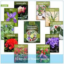 All year flowers to plant. Zlking 250pcs 10 Kinds Of Perennial Flowering Plant Flowers Bloom All Year Round Flowering Long For Home Perennial Garden Buy At The Price Of 2 34 In Aliexpress Com Imall Com