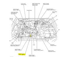 This nissan maxima belt diagram is for model year 2010 with v6 3.5 liter engine and serpentine 1995 Nissan Altima Engine Diagram Wiring Diagram Carve Colab Carve Colab Pennyapp It