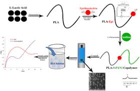 Synthesis and characterization of a nanostructure conductive copolymer  based