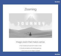 Zooming Image Zoom That Makes Sense Free Jquery Plugin Javascript Jquery Image