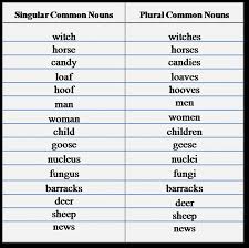 Singular And Plural Nouns Definitions Rules Examples