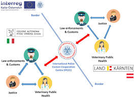 Definitions and types of transnational crime | Comparative... | Fiveable