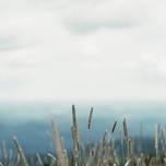 Life Lessons from Near Death Experiences