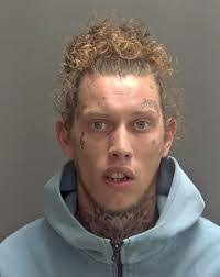 Tyler Doran's Instagram, Twitter & Facebook