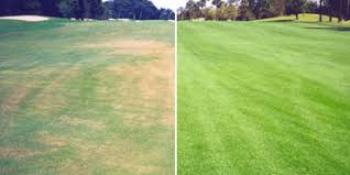 Kingreen services is a residential & commercial landscaping company servicing denton and dallas counties. Carrollton Lawn Care Kingreen Services Co