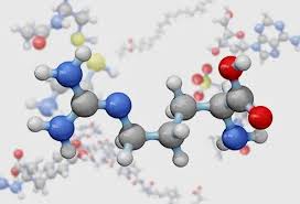 Image result for Homocysteine
