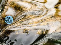 Sepp worked with the people at tamera in portugal to create a rain harvesting sepp holzer is not the entirety of permaculture. Institut Fur Globale Okologie Dezentrale Okologische Losungen