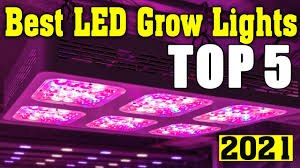 Maybe you would like to learn more about one of these? Top 5 Best Led Grow Lights 2021 Best Led Grow Lights Youtube