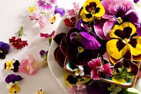 S oups, broths, homogenised and dietetic food; Edible Flowers Adding Color And Flavor To Local Dishes Homegardeningph