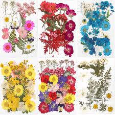 We did not find results for: 1 Pack Diy Dried Flowers Dry Plants Resin Mold Fillings Uv Epoxy Flower For Nail Art Pressed Flowers Home Decor Handicraft Best Price 767889 Goteborgsaventyrscenter