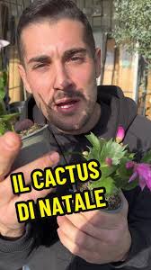 Tre piante che fioriscono nel periodo invernale! #fiori #fioriture #gi...