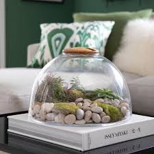 Large Glass Terrarium With Wood Lid Crate And Barrel Glass Terrarium Large Glass Terrarium Terrarium