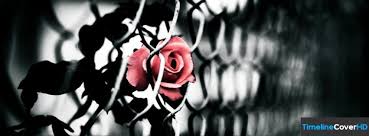 Black And White Flower Facebook Cover Photos Flowers 1544 Facebook Timeline Cover Hd Facebook Cover Facebook Cover Facebook Cover Photos Quotes Fb Cover Photos
