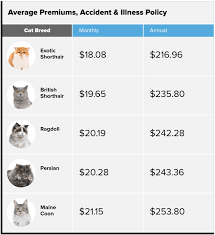 For a plan with decent coverage, the average cost of pet insurance is around $45 per month for dogs and $25 for cats. What Pet Insurance Costs Money