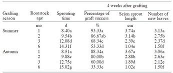 Rootstock Age And Grafting Season Affect Graft Success And